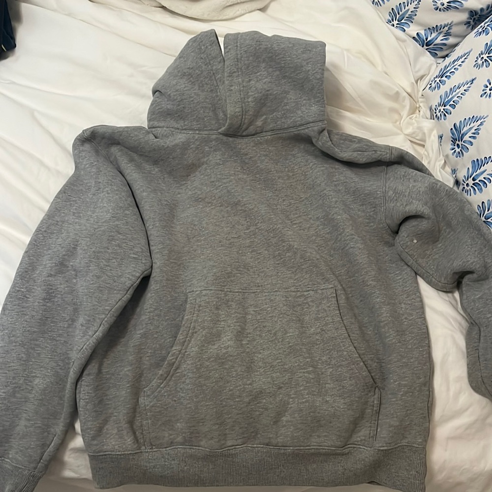 Tna Aritzia gray hoodie